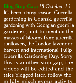 Blog Stop Gap: 18 October 13 It&rsquo;s been a busy season. Guerrilla gardening in Gdansk, guerrilla gardening with Georgian guerrilla gardeners, not to mention the masses of blooms from guerrilla sunflowers, the London lavender harvest and International Tulip Guerrilla Gardening Day. Sorry this is another stop gap, the videos will be edited and the tales blogged later, follow the mildly mischievous activity 