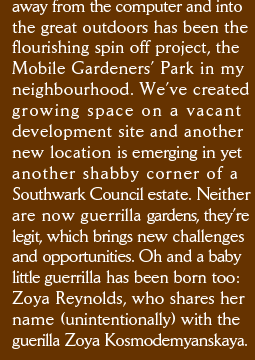 away from the computer and into the great outdoors has been the  flourishing spin off project, the  Mobile Gardeners&rsquo; Park in my neighbourhood. We&rsquo;ve created growing space on a vacant development site and another new location is emerging in yet another shabby corner of a  Southwark Council estate. Neither are now guerrilla garden, they&rsquo;re legit, which brings new challenges and opportunities. Oh and a baby  little guerrilla has been born too:  Zoya Reynolds, who shares her  name (unintentionally) with the  guerilla Zoya Kosmodemyanskaya.