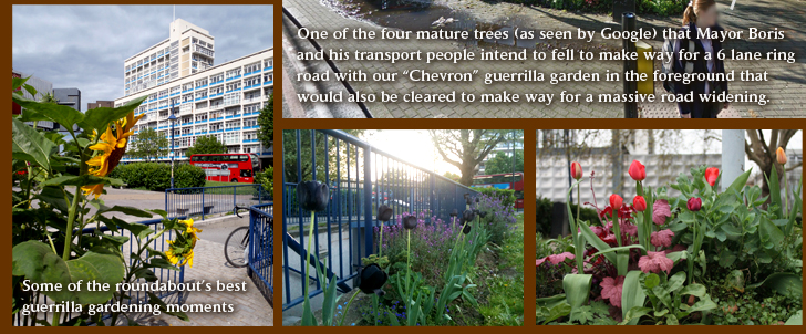 Some of the roundabout's best guerrilla gardening moments