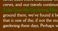Tulip Guerrilla Gardening Day