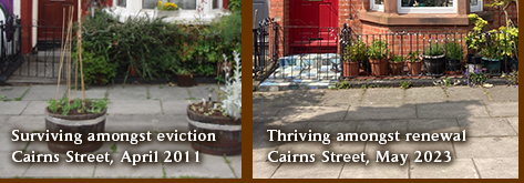 Surviving amongst the eviction vs Thriving amongst the renewal