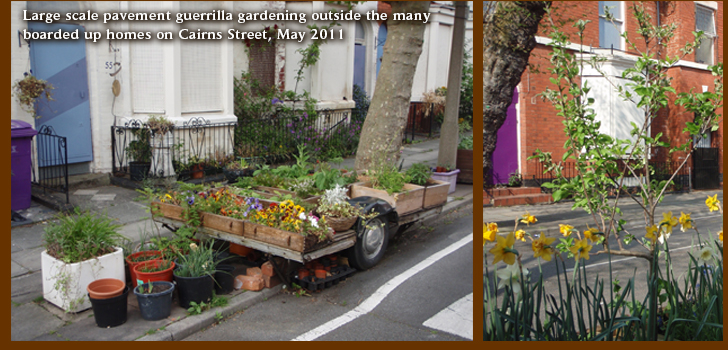 Large scale pavement guerrilla gardens outside the many boarded up homes on Cairns Street, May 2011