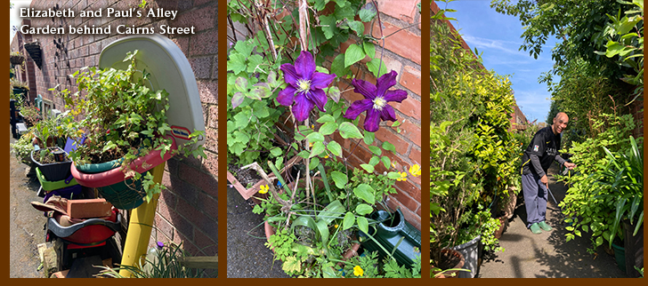 Elizabeth and Paul's Alley Garden behind Cairns Street