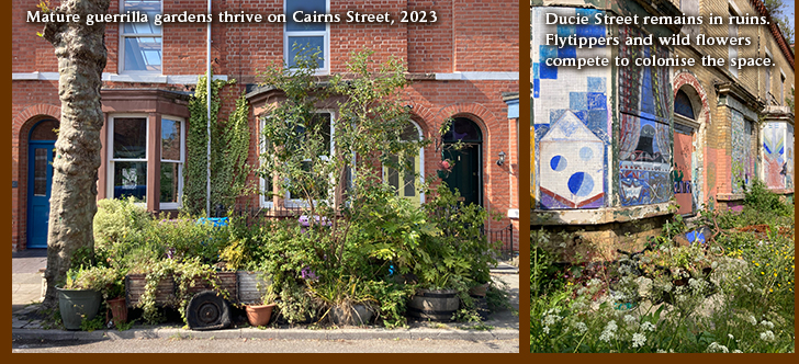 Mature guerrilla gardens thrive on Cairns Street. Ducie Street remains in ruins. Flytippers and wild flowers compete to colonise the space