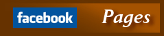 Facebook Groups and Pages